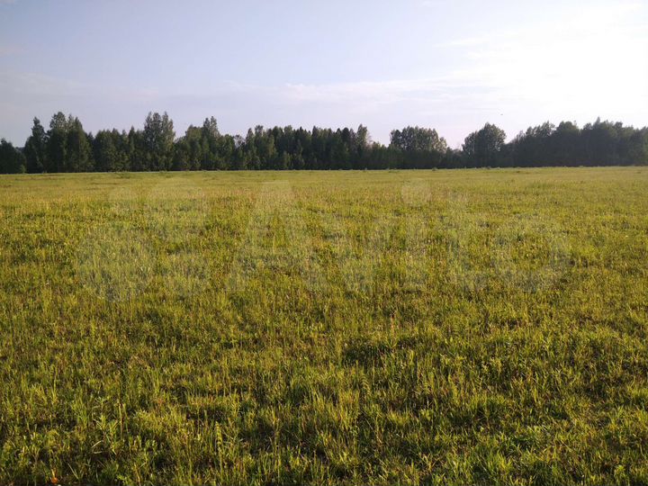 Участок 5,6 га (ИЖС)