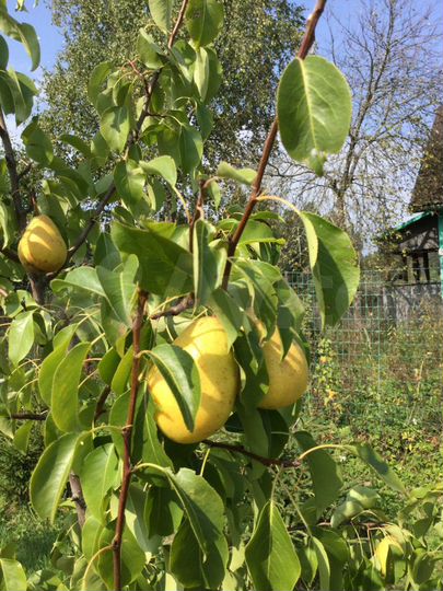 Дом 78 м² на участке 15 сот.