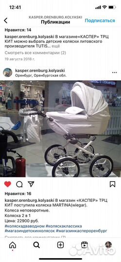 Коляска 2 в 1 Martina