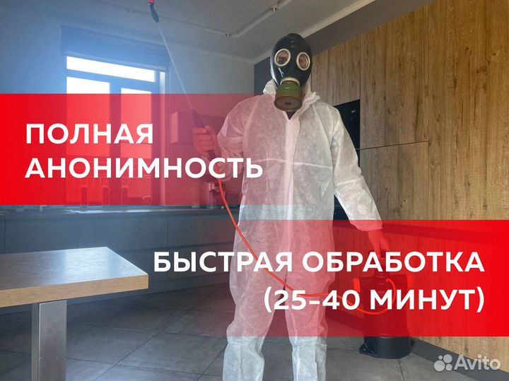 Уничтожение тараканов, клопов, клещей, мышей, блох