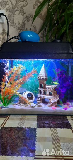 Аквариум