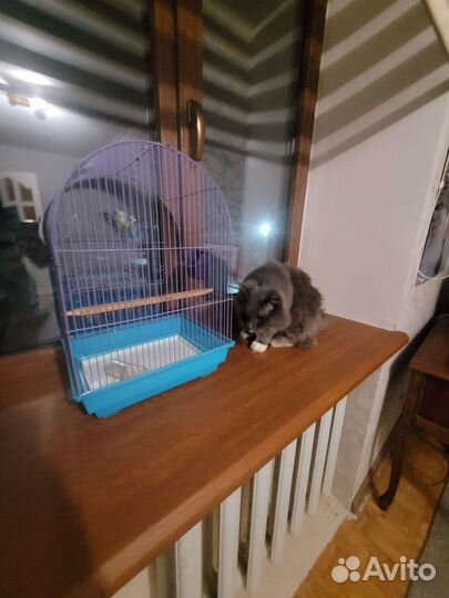 Клетка для птиц