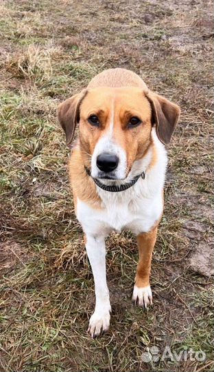 Стеша ищет свою семью