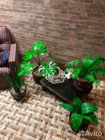 Набор комнатных растений,1:6