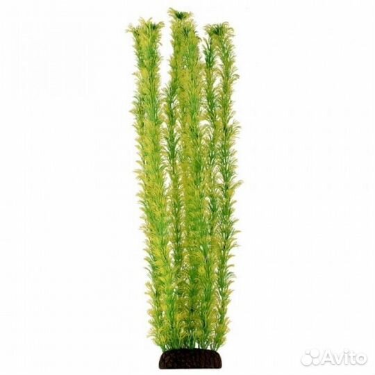 5573P Растение пласт 55см жёлто-зелёное Амбулия 4