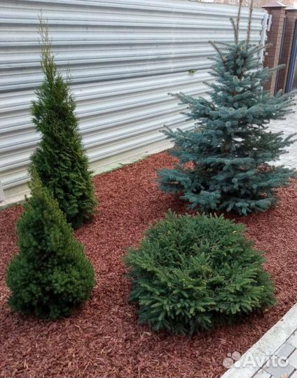 Мульча кора лиственницы