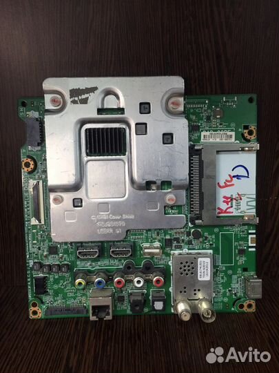 EAX66943504 (1.0) EBL61741501