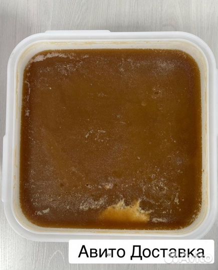 16 kg меда 2024 года Алтайский оптом