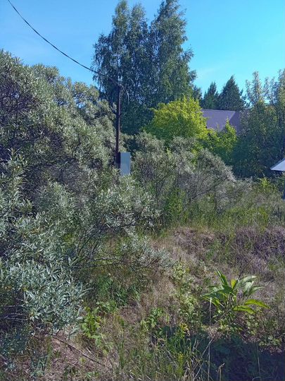 Участок 8,8 сот. (ИЖС)