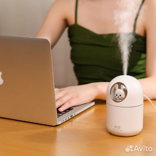 Увлажнитель воздуха