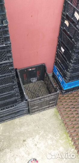 Пластиковые ящики для овощей бу