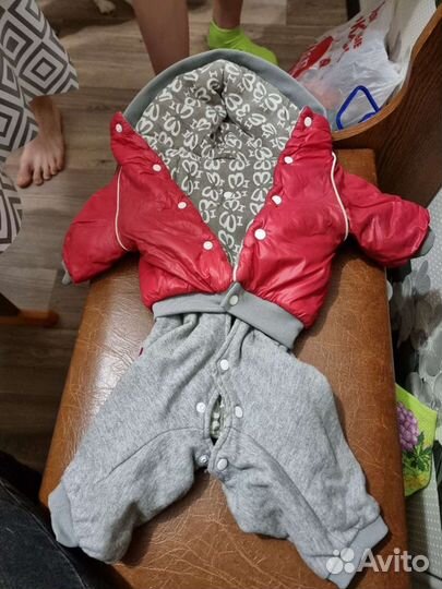 Зимний комбинезон для собак