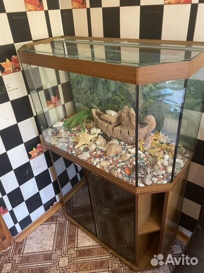 Аквариум 150 литров с тубмбой