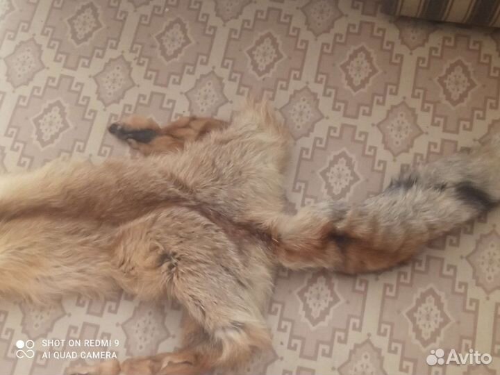 Лисья шкура, чулок