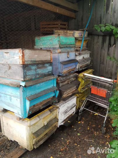 Ульи для пчел бу