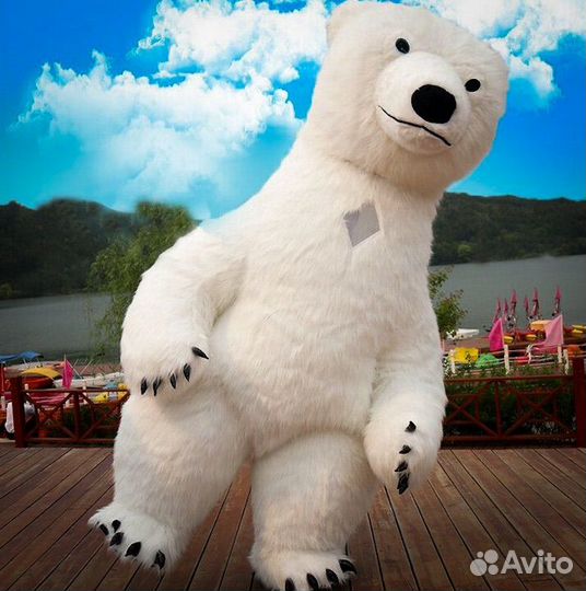 Белый медведь