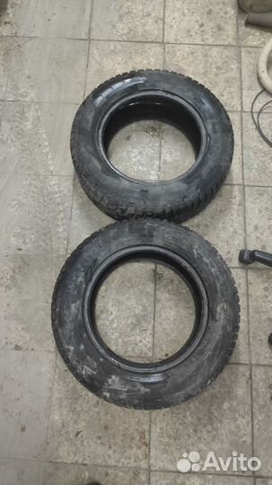 Nokian Tyres Hakkapeliitta 5 205/65 R15