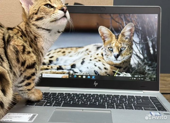 Ноутбуки HP elitebook Probook Большой Выбор