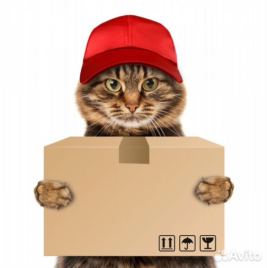 Курьер с ежедневной оплатой