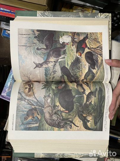 А.Э. Брэм. Жизнь животных. Комплект из 3 томов