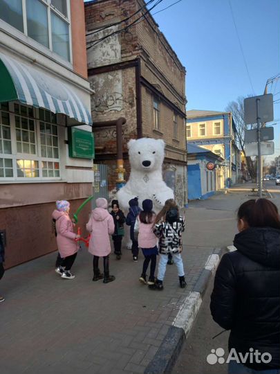 Белый мишка поздравление