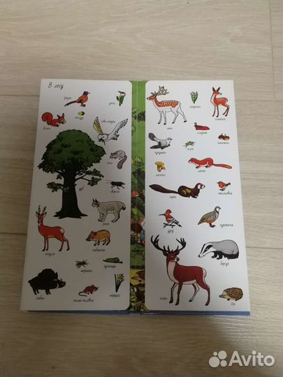 Развивающая детская книга