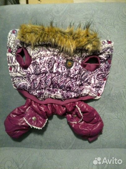 Зимние комбинезоны, ошейник светящийся