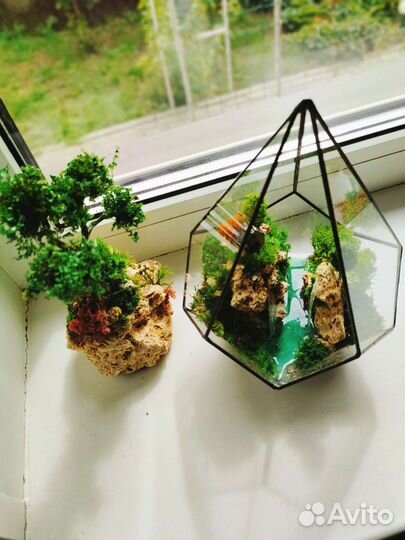 Моссариум в форме капля