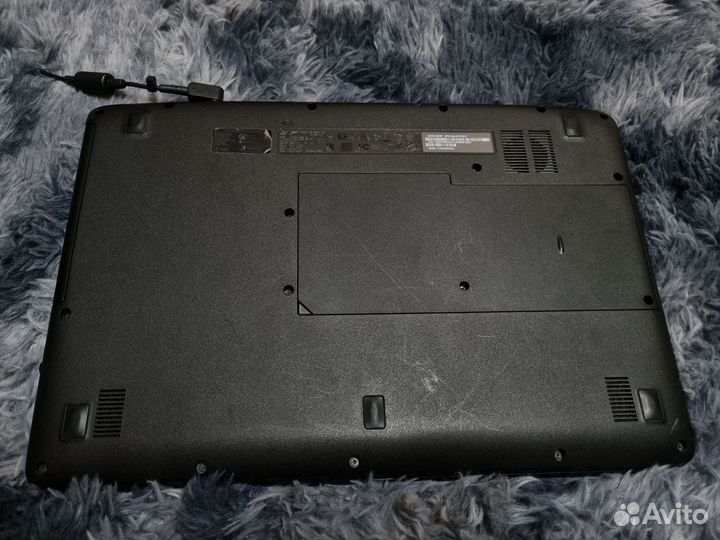 Acer extensa 2540