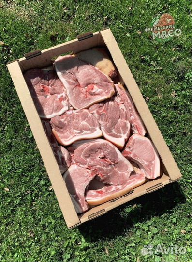 Мясо свинина