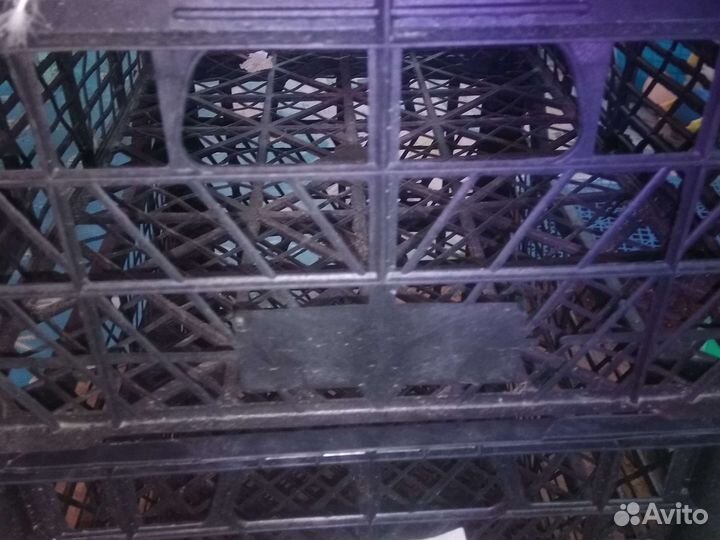 Ящики из пластика для хранения