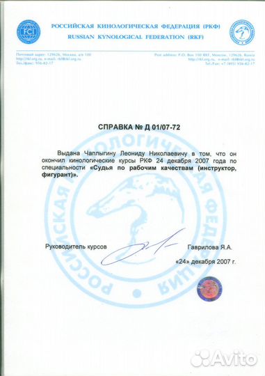 Дрессировка, обучение, передержка собак