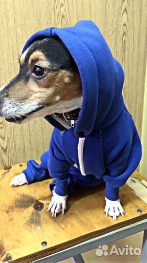 Ремонт одежды