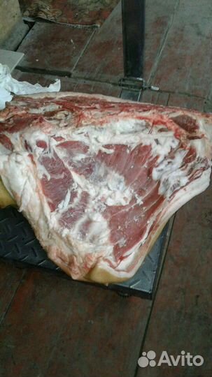 Мясо свинина полутушами, четверть
