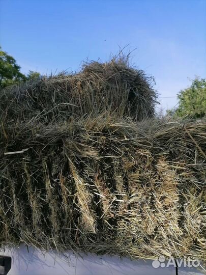 Сено в тюках