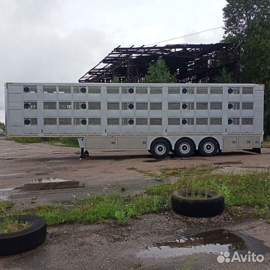 Полуприцеп для перевозки скота Балтспецмаш Скотовоз, 2023