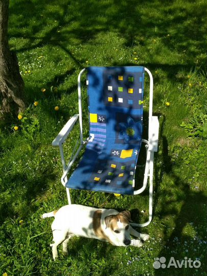 Передержка животных, зоогостиница