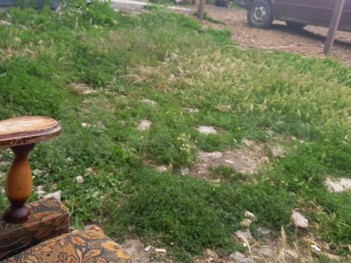 Дом 100 м² на участке 26 сот.