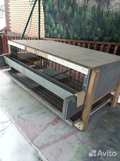 Клетки для перепелов