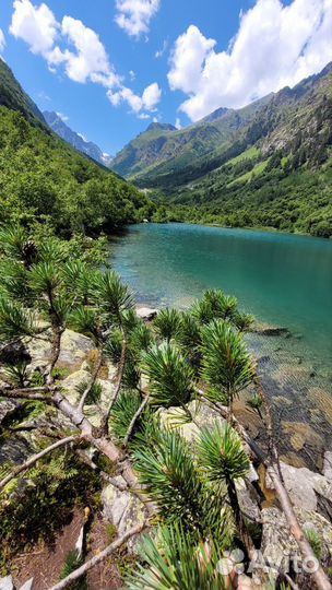 Авторский тур в Домбай - “Жемчужина Кавказа”