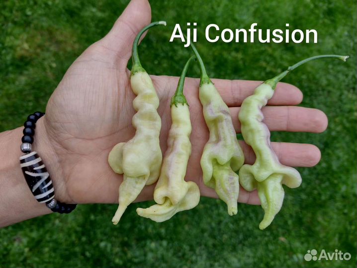 Семена острых перцев