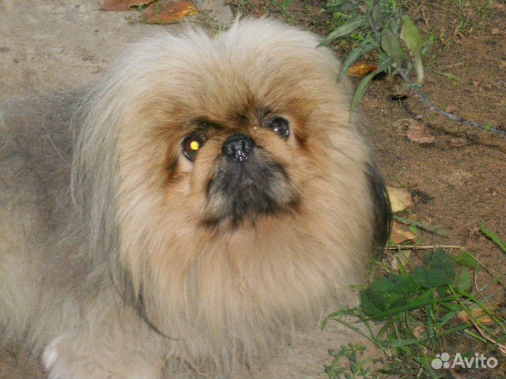 Вышитые картины 3D на заказ