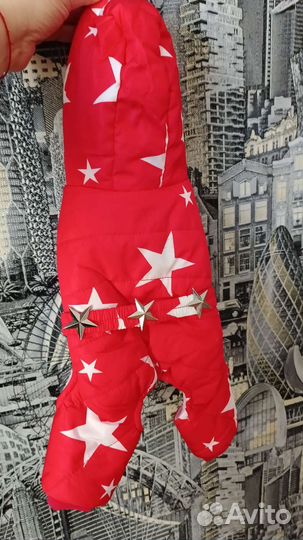 Куртка для собаки или кошки