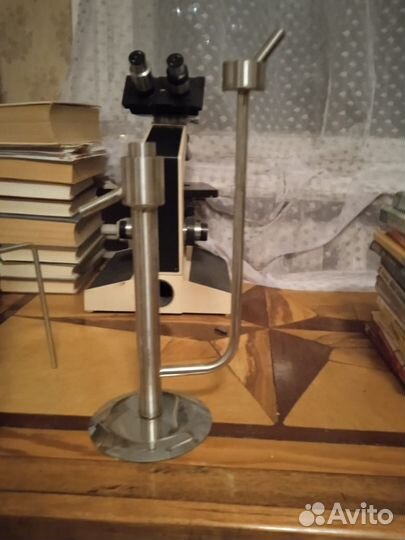 Угольная колонна и попугай