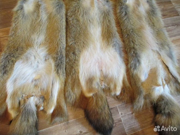 Шкура волка