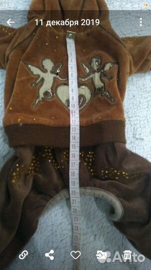 Комбинезон для собак