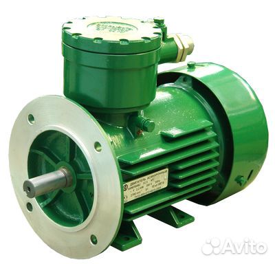 Взрывозащищенный электродвигатель