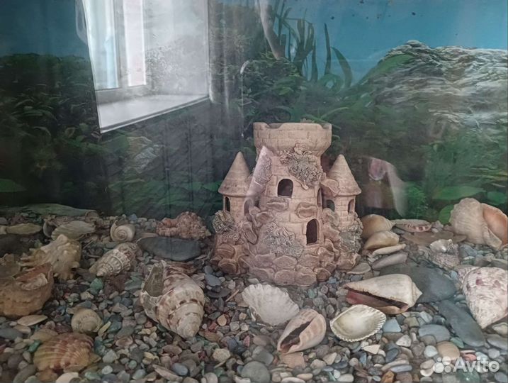 Аквариум