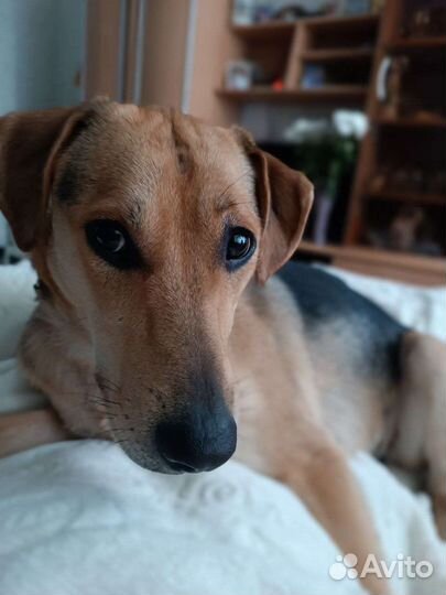 Меня предали