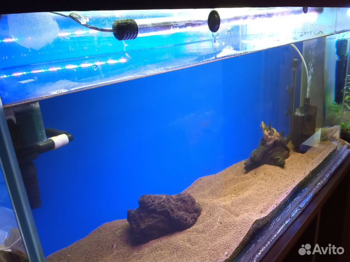 Аквариум
